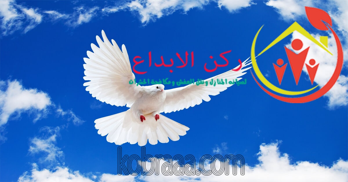 شركة تنظيف وصيانة مكيفات بالرياض