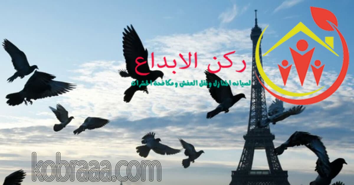 شركة تنظيف وصيانة مكيفات بالرياض